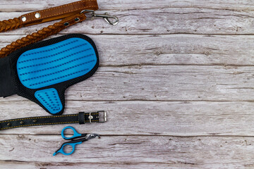 Dog accessories on wood background. Blue rubber grooming glove, claw clipper, brown leather leash...