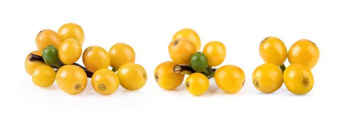 fresh yellow coffee beans isolated on white background