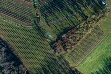 Luftaufnahme von Beerenanbau mit Schattenspiel