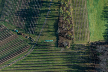 Luftaufnahme von Beerenanbau mit Schattenspiel