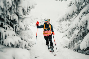 Mountaineer backcountry ski walking ski woman alpinist in the mountains. Ski touring in alpine landscape with snowy trees. Adventure winter sport. Freeride skiing