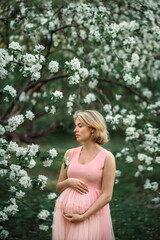 Naklejka premium a pregnant young woman in a spring blooming garden next to a blooming apple tree
