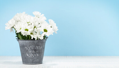 Daisy flowers bouquet