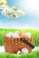 Easter greeting card with easter eggs