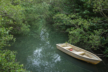 Empty wooden boat floating on tranquil forest pond 