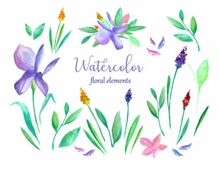 Vector watercolor floral set. Floral design elements.