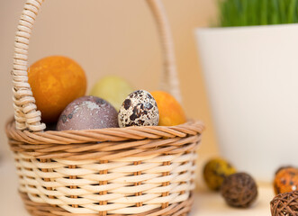 Easter chicken egg basket. Quail eggs Easter. Pastel background. close-up. Selective focus.
