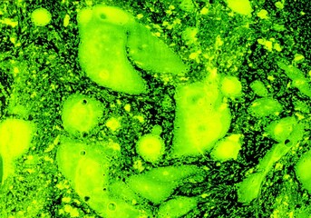 green black gray paint in monotype technique, abstract texture background for your design ebru illustration