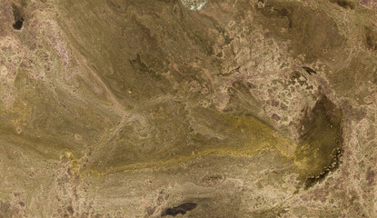 brown Black white paint in monotype technique, abstract texture background for your design ebru illustration