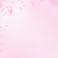 Fototapeta premium Sakura petals falling down. Romantic pink flowers corner. Flying petals on pink square background. Love, romance concept. Resplendent wedding invitation.