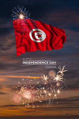 Holiday fireworks and flag of Tunisia - 487030124
