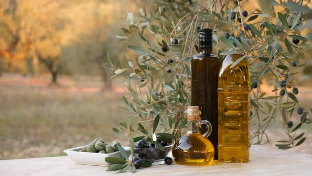 Various jars with olive oil and plates with olives under the olive tree on nature background. High quality 4k footage