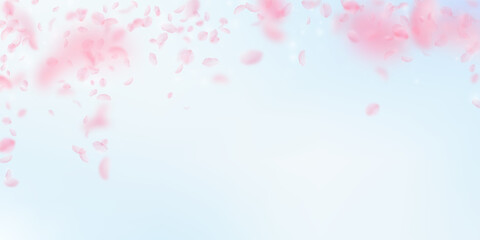 Sakura petals falling down. Romantic pink flowers falling rain. Flying petals on blue sky wide background. Love, romance concept. Lovely wedding invitation.