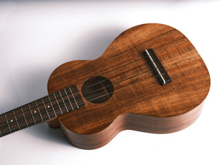 Naklejka premium ウクレレ