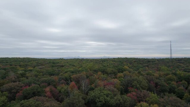 Drone over forest with NY skyline in background
