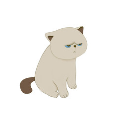 Fat cat sit for waiting someone