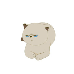 Fat cat squats cartoon vector 