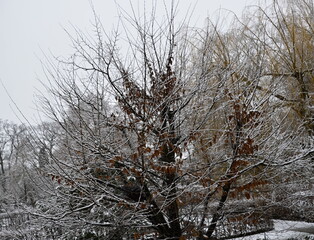 Winter Landschaft in der Stadt Walsrode, Niedersachsen