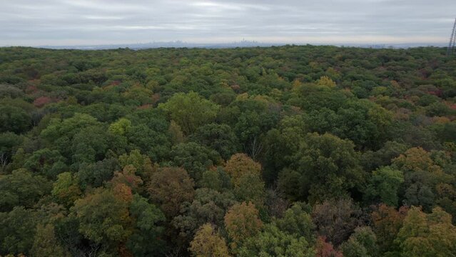 Drone over forest with NY skyline
