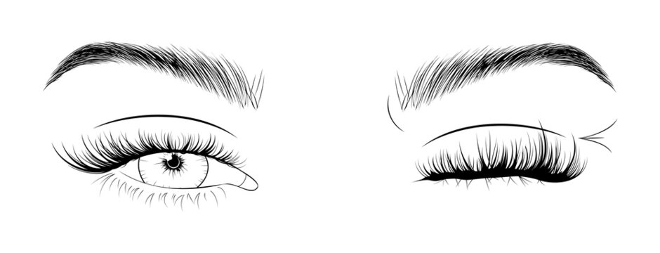 Hand drawn winking woman's sexy makeup look with perfectly shaped eyebrows and lashes. Vector illustration for business visit card, logo, typograph, print. Perfect salon look.