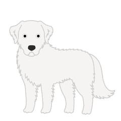 クーバースの犬イラスト