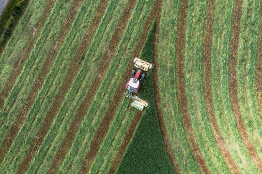 Aerial view from above tractor harvesting green hay field, Auvergne, France
