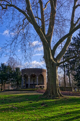 Fototapeta na wymiar Baum und Pavillon in einem historischen Schlosspark in Paffendorf