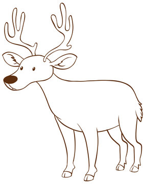 Deer in doodle simple style on white background