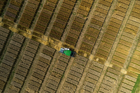 Aerial drone POV tractor in agricultural field with crop rectangles
