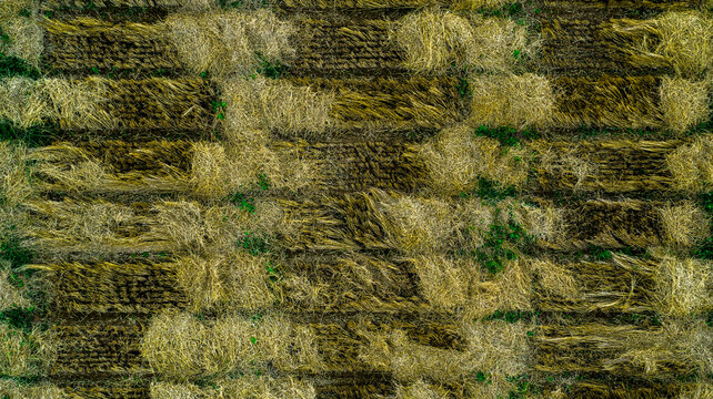 Aerial drone POV green crop patches forming pattern in agricultural field
