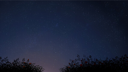 night sky with grass and flowers 고화질 밤하늘 배경화면