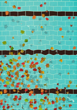 View from above of autumn leaves floating on swimming pool water

