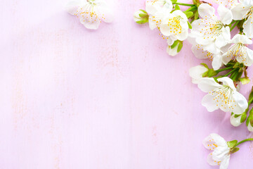 Cherry flowers on the pink shabby wooden board. Floral border.  Flat lay. Selective focus.