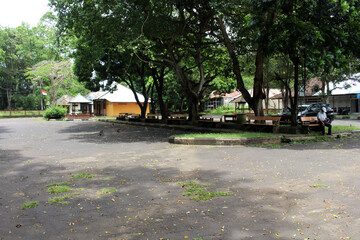 Empty parking lot and monkeys around Alas Kedaton complex during pandemic. Taken in January 2022