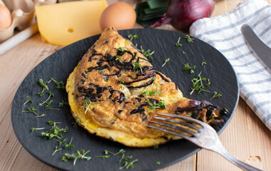 Omelette with red onions, cress and cheese. Low carb or ketogenic breakfast