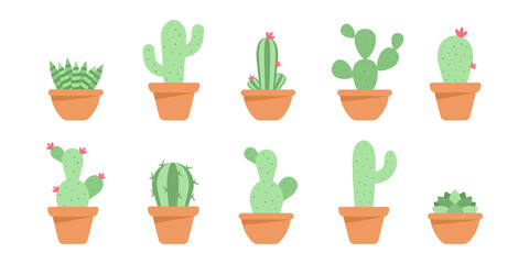 Set of cute cactus and succulents in ceramic pot.  Decorative natural elements are isolated on white. Cactus with flowers. Modern Vector illustration in cartoon flat style