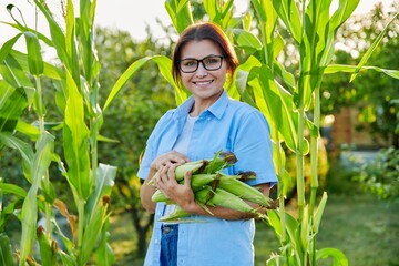 Woman with ripe corn cobs in her hands, looking at the camera, on farm