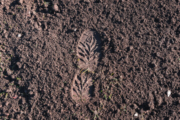 footprint in the dirt. Brown earth with imprints. background photo texture. footprints in the...