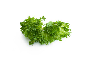 Fototapeta premium Fresh curly lettuce isolated on white background.