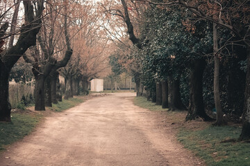 alley in the park