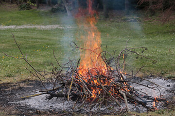 burning bonfire in a field with dry branches