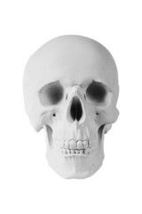 Gypsum human skull on isolated white background with clipping path. Plaster sample model skull for students of art schools. Forensic science, anatomy and art education concept. Mockup for drawing.