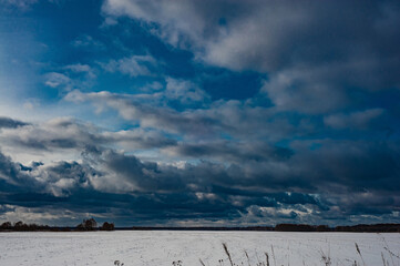 The winter park was covered with snow. Trees, bushes, earth, paths - all covered with snow-white snow.