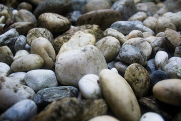 pebble rocks surface texture