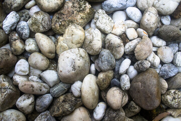 pebble rocks surface texture