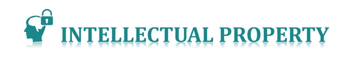 Concept of intellectual property