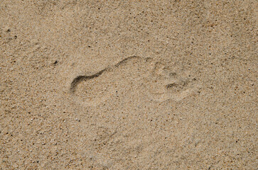 Footprints of human feet in the sand.