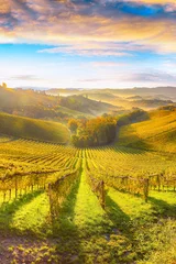 Fotobehang Splendid vineyards landscape in South Styria near Gamlitz. © pilat666