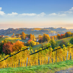 Stunning vineyards landscape in South Styria near Gamlitz.