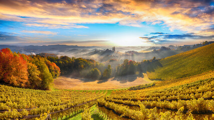 Fabulous vineyards landscape in South Styria near Gamlitz. - obrazy, fototapety, plakaty